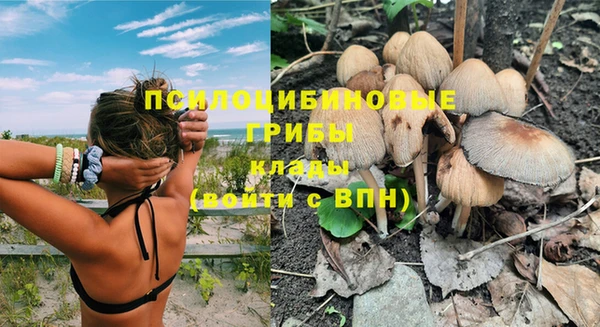стафф Волосово